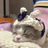 mocchan.i