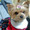 ユーザーのアイコン画像