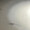 ももんが0000005
