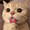 なんこちゅ