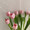 Riim10