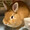 ふっくさん65