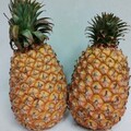 丸く丸消す