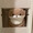 ながちゃんオンリーワン