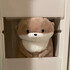 ながちゃんオンリーワン