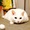 ユーザーのアイコン画像