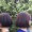 -apple-