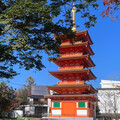 黄だるま