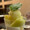 petanchu