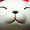 南極の黒猫