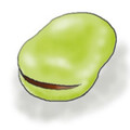 マメモグ