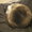 Salem_Pianissimo_One