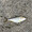 c1228240414