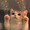 ユーザーのアイコン画像