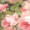 Foodie_S