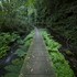 kamakura_lakeside