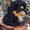 rina001