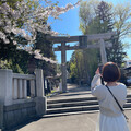 ともちゃん64723