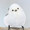 ユーザーのアイコン画像