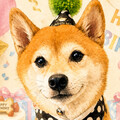 しばしばわんこ