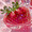 caloriemate