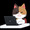 やっすー01