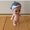 ユーザーのアイコン画像