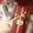 coce_184