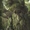 Fangorn