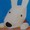 じゃこりんこ