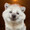 みーちゃん丸