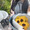ねこたんちゅ