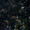 リチャ009008
