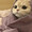 ユーザーのアイコン画像