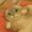 ぬこぬこ(=^x^=)