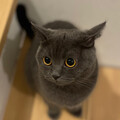 まどやん45