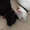 maron_1227