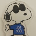 Joe Cool 1960