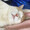 ぽぽりんの部屋
