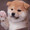 くぼくん2006