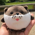 旅するカワウソ