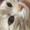 ユーザーのアイコン画像