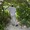 ユーザーのアイコン画像