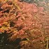 和 log21