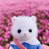 momoka8888
