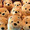 Pooh1128
