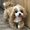 jiaying2525