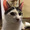Nyan-co