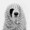 ユーザーのアイコン画像