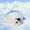 あさみん(・８・)
